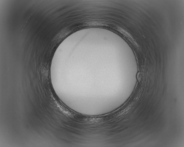 X0000082150841200702092149