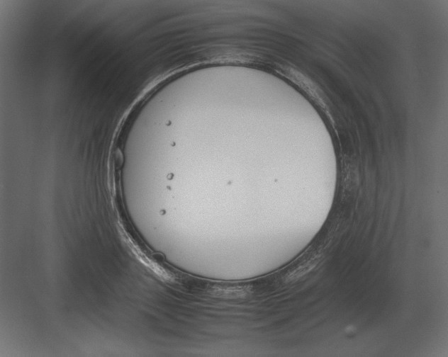 X0000082150843200702092149