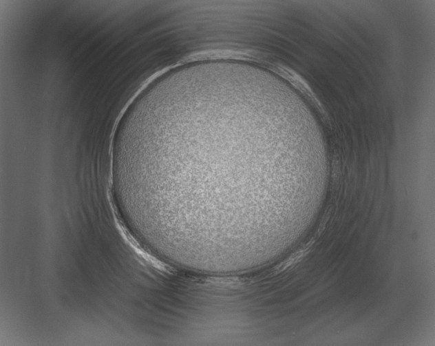 X0000082150844200702092149