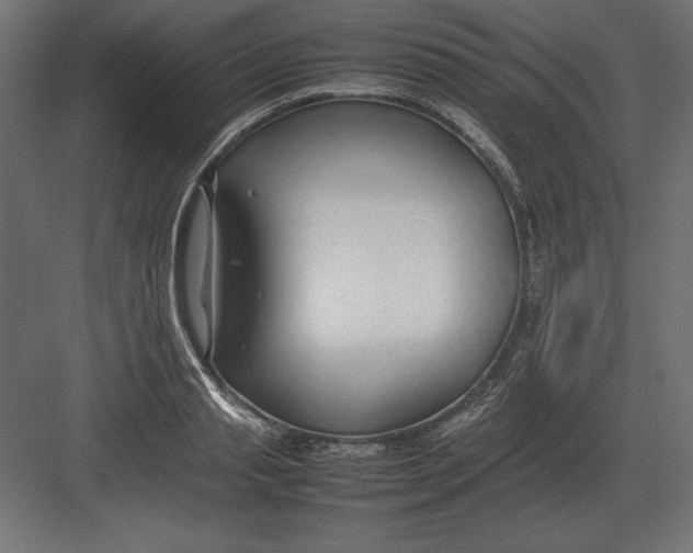 X0000082150845200702092149