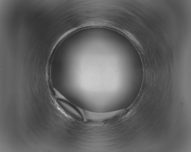 X0000082150846200702092149