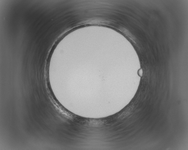 X0000082150848200702092149