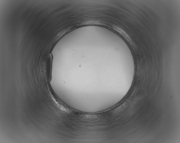 X0000082150849200702092149