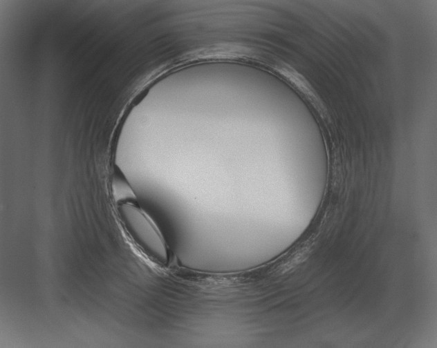 X0000082150850200702092149