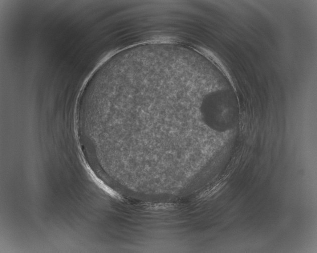 X0000082150851200702092149