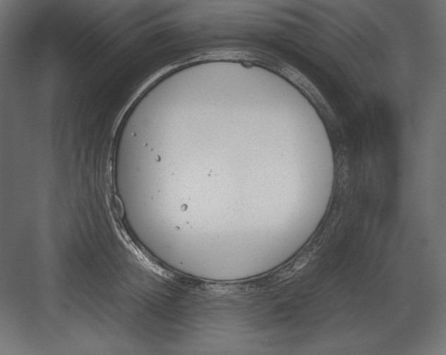 X0000082150852200702092149