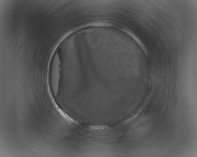 X0000082150853200702092149