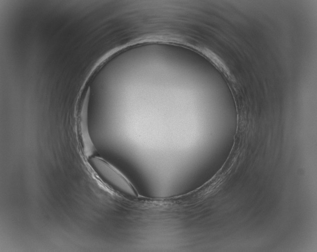 X0000082150854200702092149