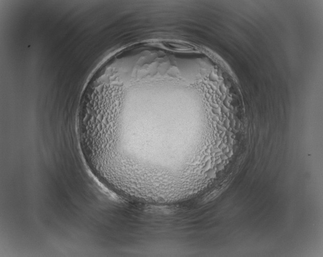 X0000082150855200702092149