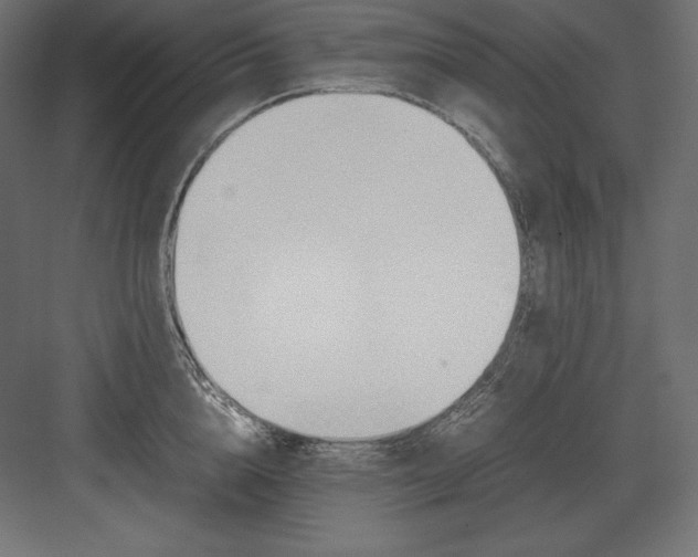 X0000082150856200702092149