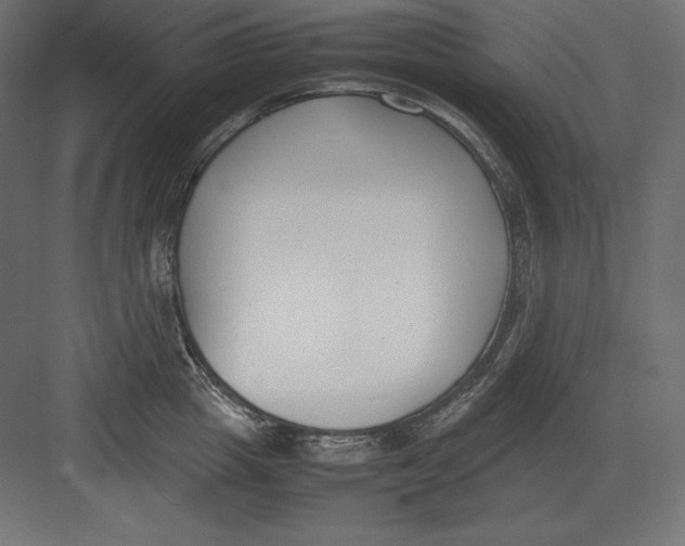 X0000082150857200702092149