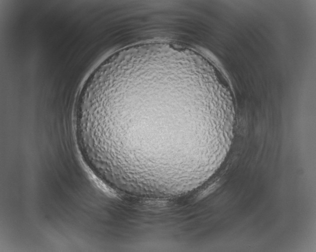 X0000082150859200702092149