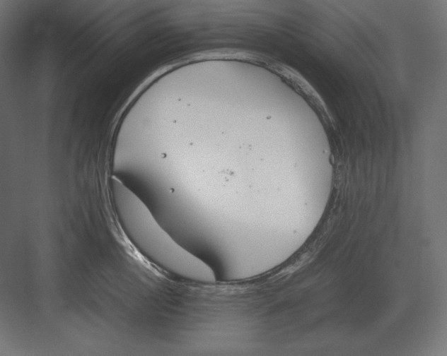 X0000082150860200702092149