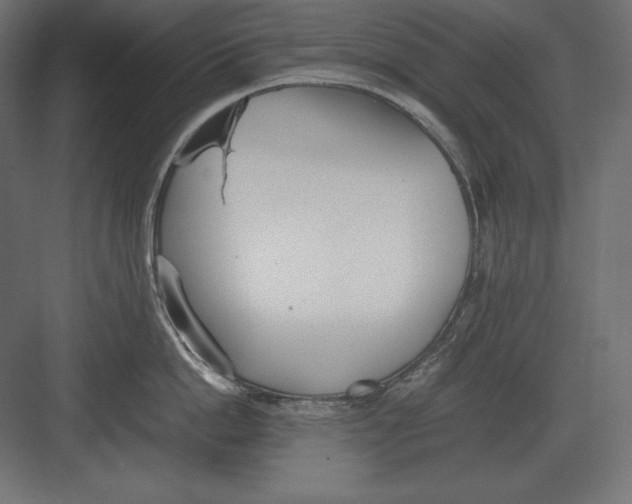 X0000082150862200702092149