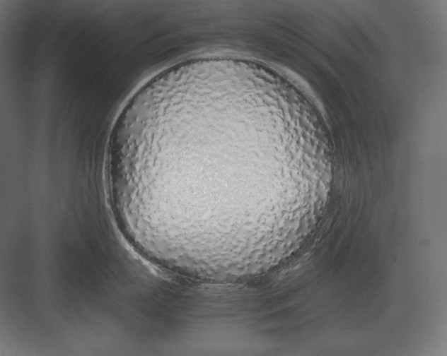 X0000082150863200702092149