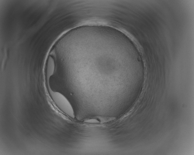 X0000082150864200702092149