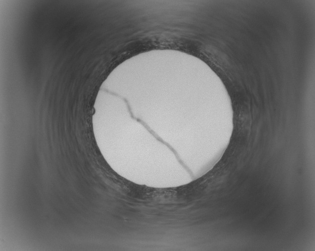 X0000082150865200702092148