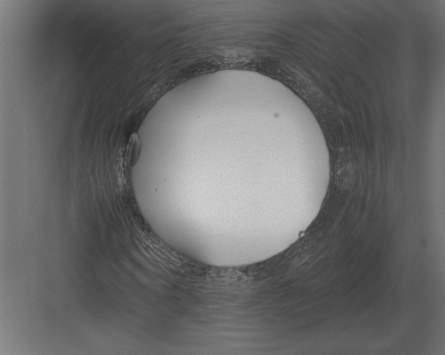 X0000082150866200702092148