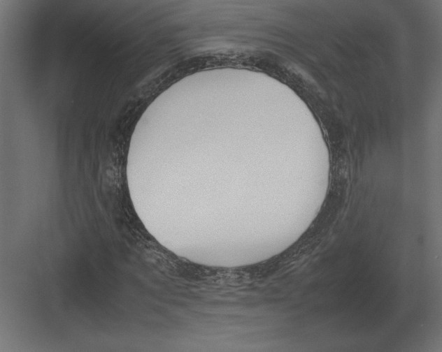 X0000082150869200702092148