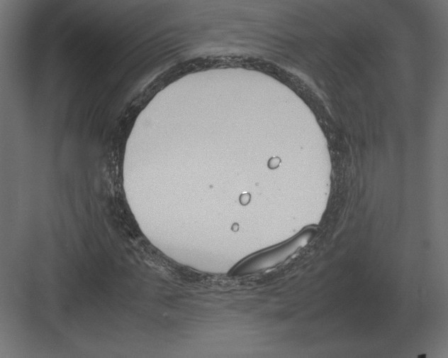 X0000082150871200702092148