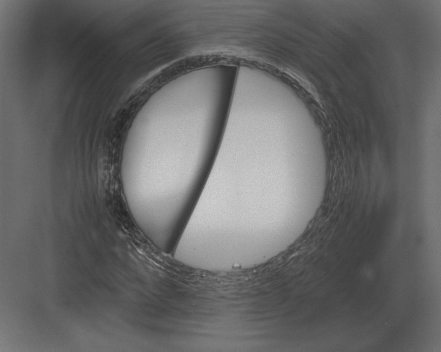 X0000082150872200702092148