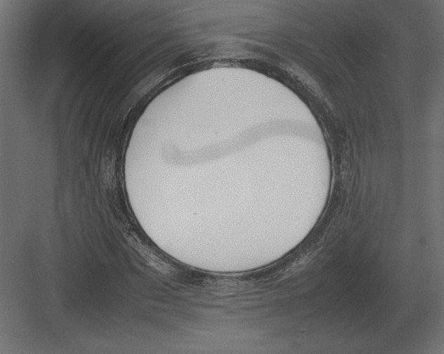 X0000082150873200702092148