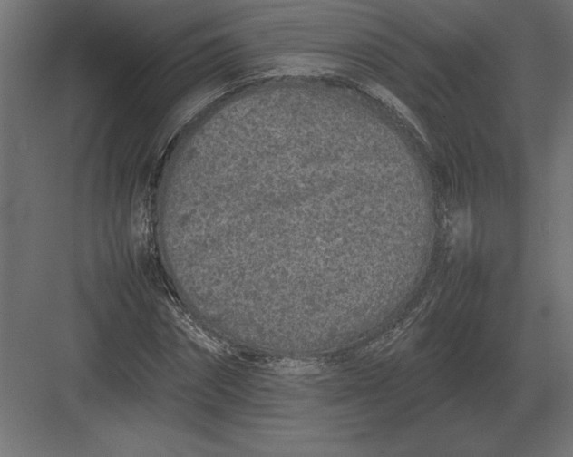 X0000082150874200702092148