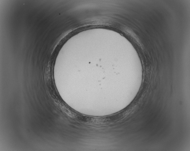 X0000082150875200702092148