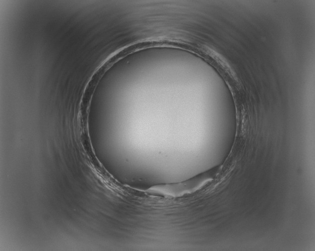 X0000082150876200702092148