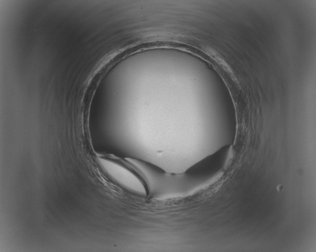 X0000082150877200702092148