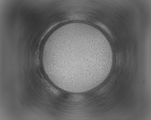 X0000082150878200702092148