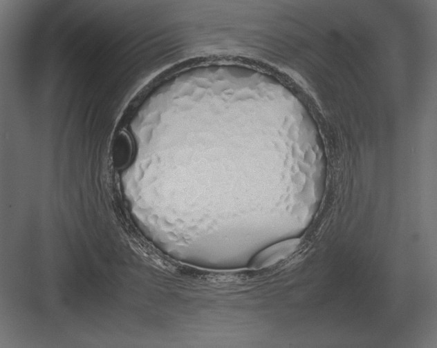 X0000082150879200702092148