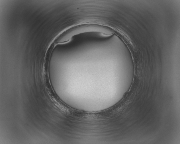 X0000082150880200702092148