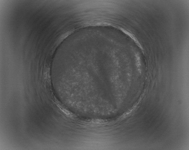 X0000082150881200702092148