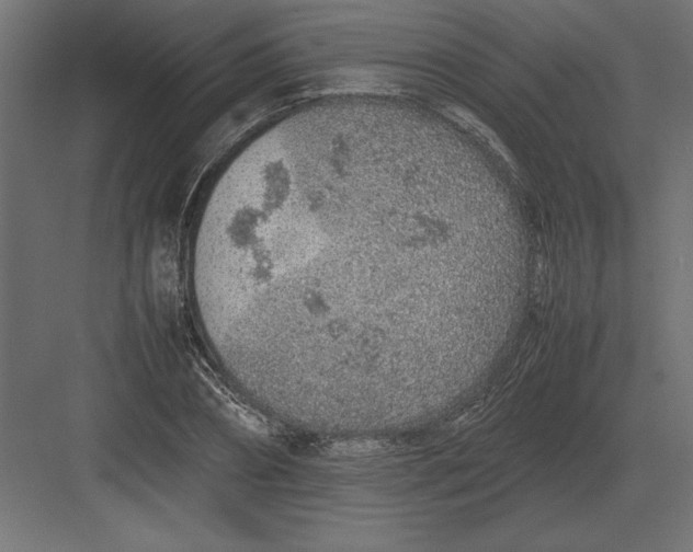 X0000082150882200702092148