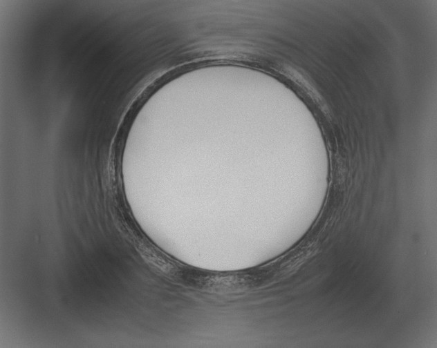 X0000082150883200702092148