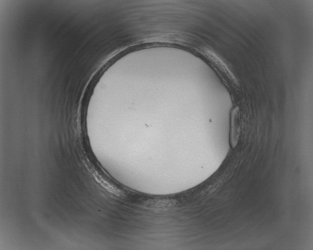 X0000082150884200702092148