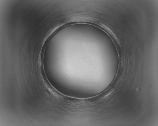 X0000082150885200702092148