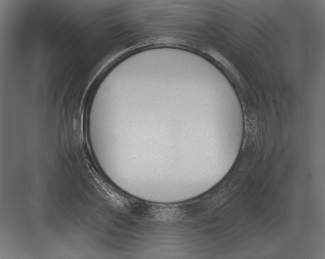 X0000082150886200702092148