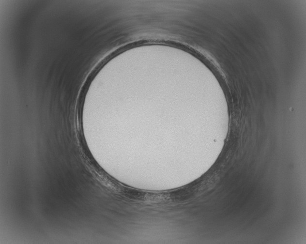 X0000082150887200702092148