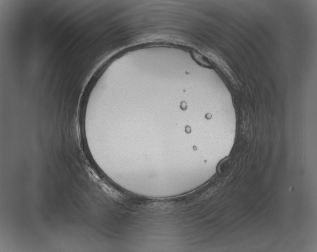 X0000082150888200702092148