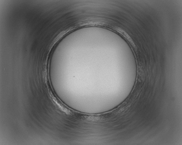 X0000082150890200702092148