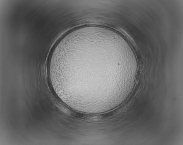 X0000082150891200702092148