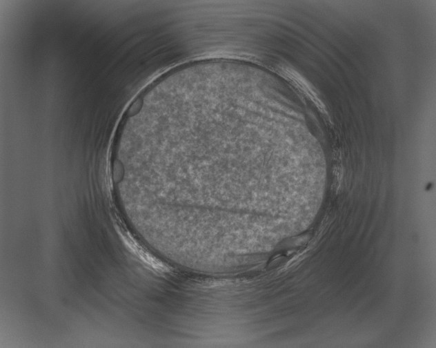 X0000082150892200702092148