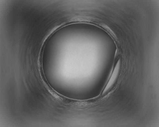 X0000082150893200702092148