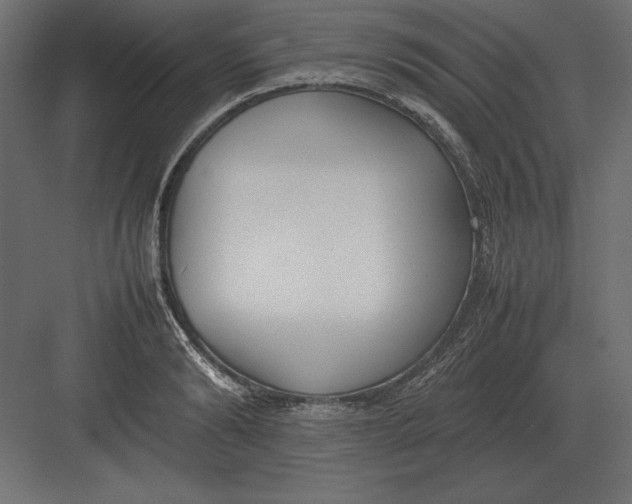 X0000082150894200702092148