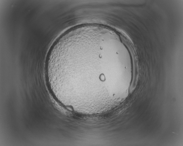 X0000082150895200702092148