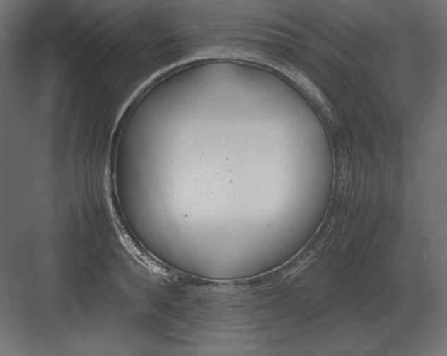 X0000082150896200702092148