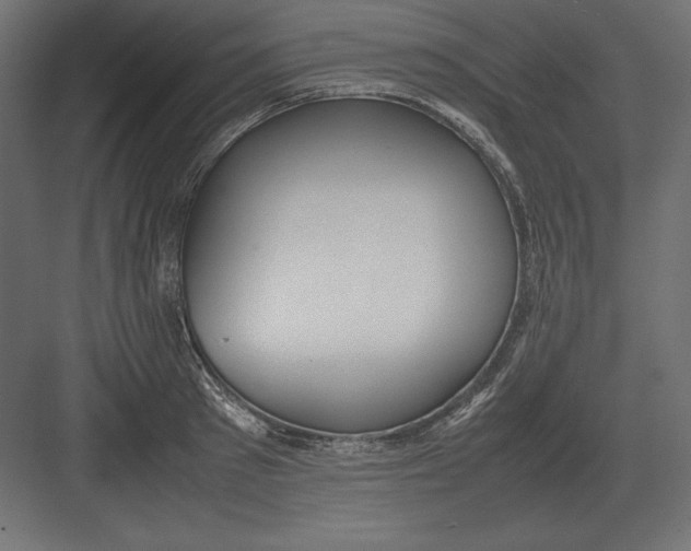 X0000082150897200702092148