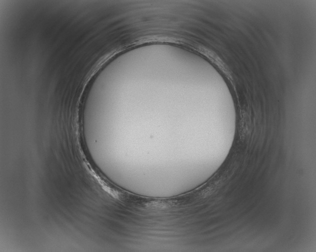 X0000082150898200702092148